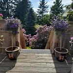 Будинок відпочинку Tante Hanna *
