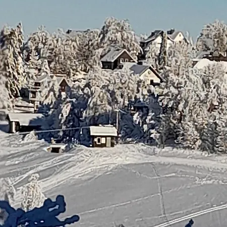 Tante Hanna Prázdninový dům Winterberg