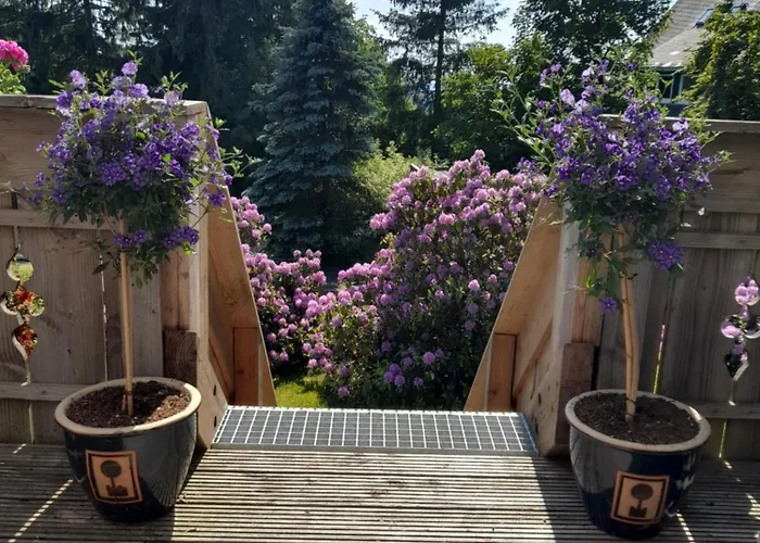 Nyaraló Tante Hanna *